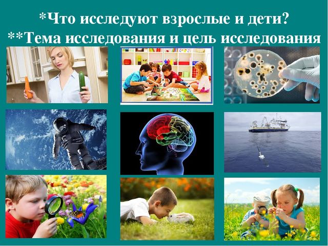 Презентация к авторской программе кружка "Азбука юного робинзона Черноморского побережья Кавказа"