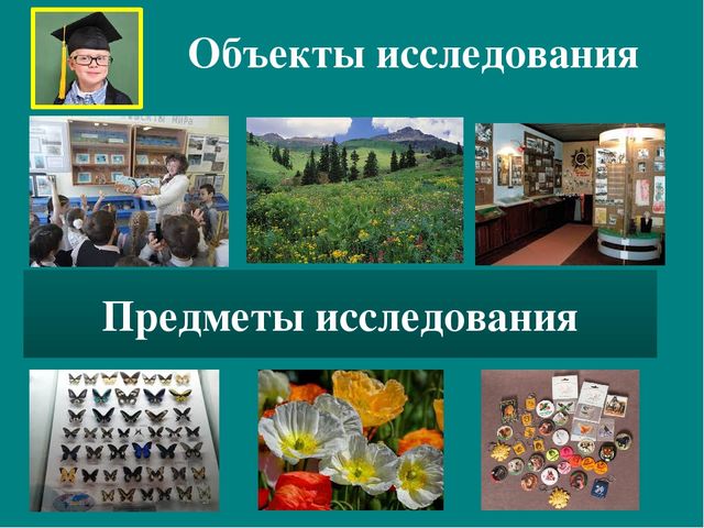 Презентация к авторской программе кружка "Азбука юного робинзона Черноморского побережья Кавказа"
