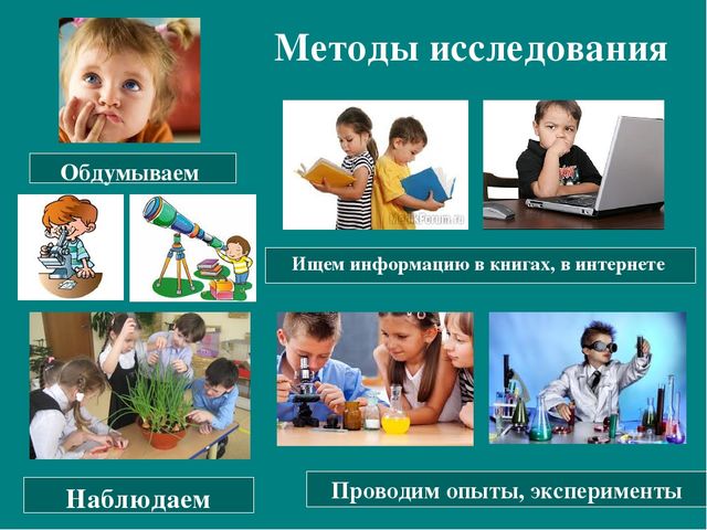 Презентация к авторской программе кружка "Азбука юного робинзона Черноморского побережья Кавказа"