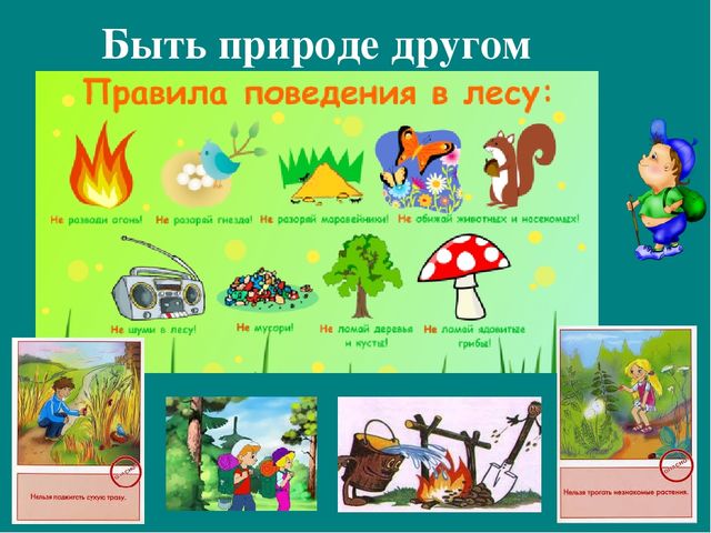 Презентация к авторской программе кружка "Азбука юного робинзона Черноморского побережья Кавказа"