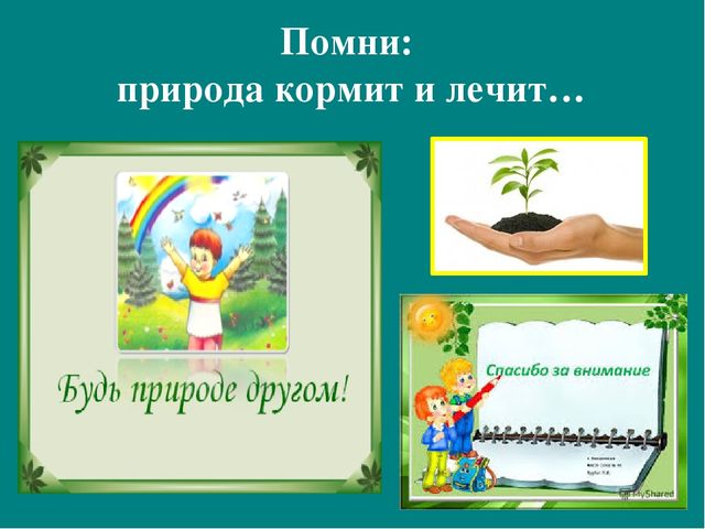 Презентация к авторской программе кружка "Азбука юного робинзона Черноморского побережья Кавказа"