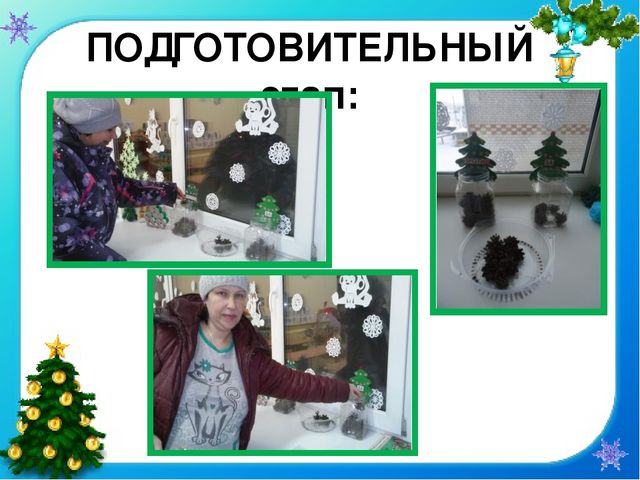 Презентация проекта "Елочка - колкая иголочка"