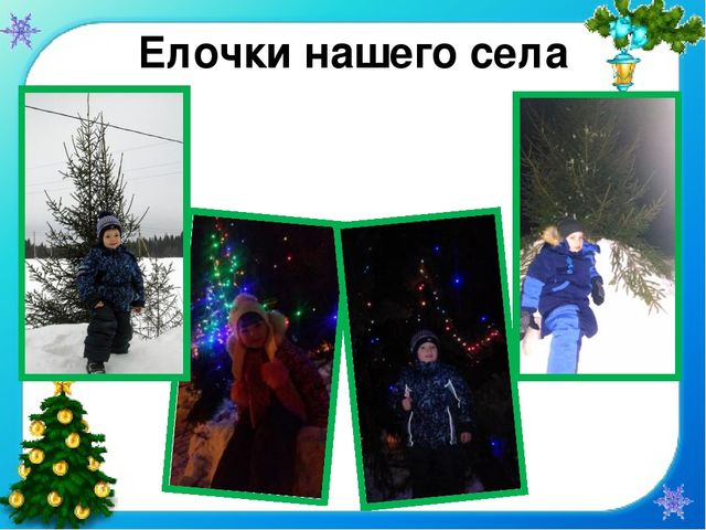 Презентация проекта "Елочка - колкая иголочка"