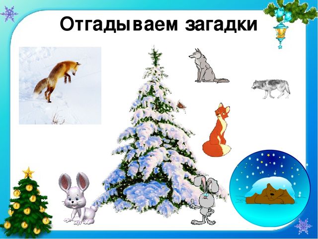 Презентация проекта "Елочка - колкая иголочка"