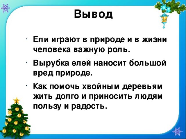 Презентация проекта "Елочка - колкая иголочка"