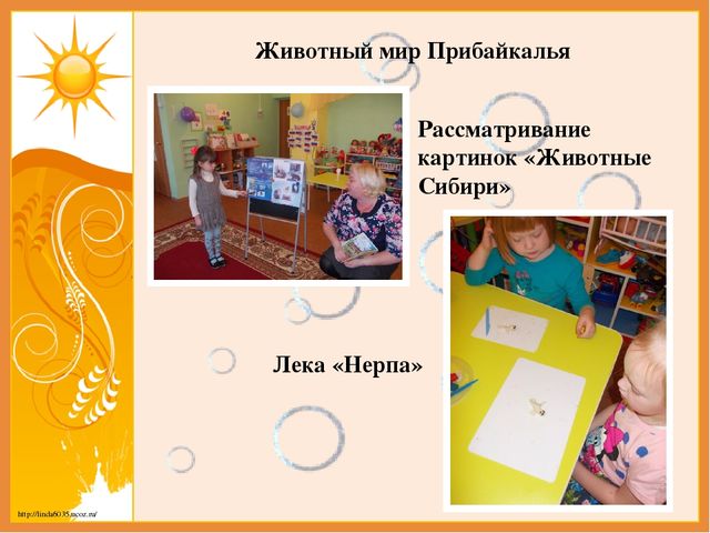 Отчет о проделанной работе за ноябрь 2016года