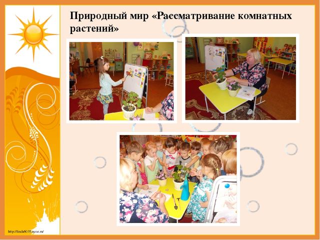 Отчет о проделанной работе за ноябрь 2016года