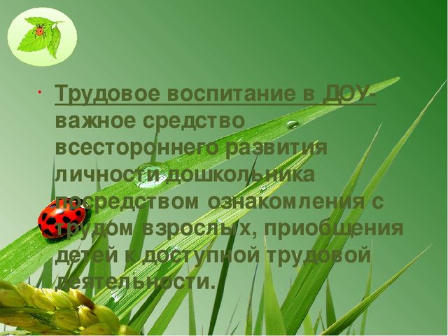Презентация на тему: Трудовое воспитание в МДОУ в свете ФГОС