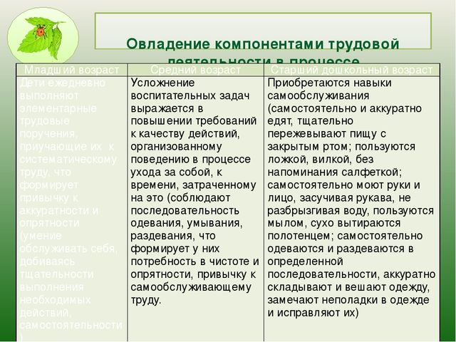 Презентация на тему: Трудовое воспитание в МДОУ в свете ФГОС