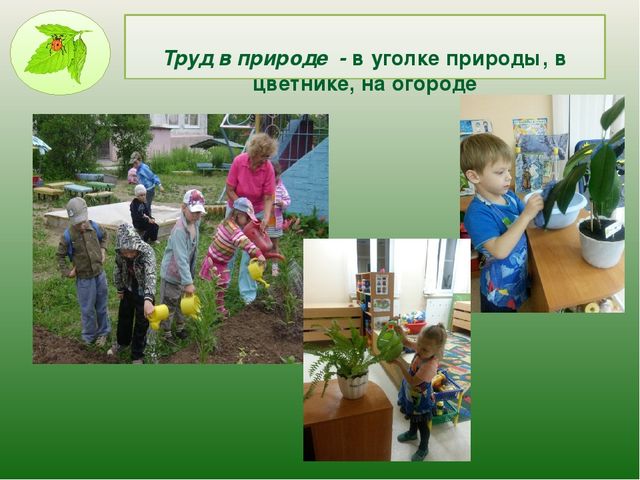 Презентация на тему: Трудовое воспитание в МДОУ в свете ФГОС