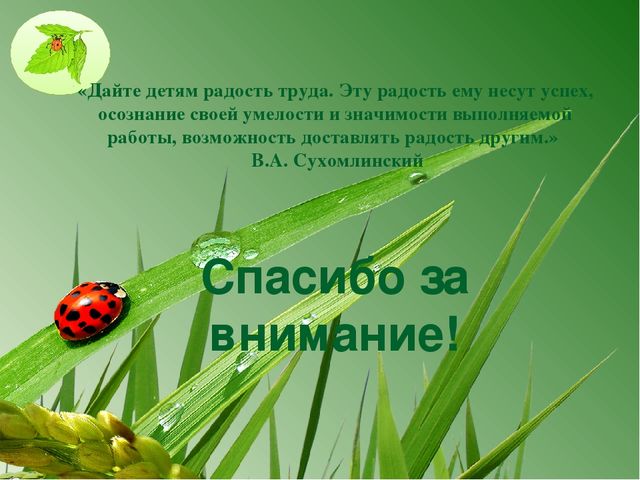 Презентация на тему: Трудовое воспитание в МДОУ в свете ФГОС
