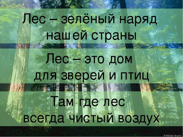 Презентация на тему "Береги свою планету"