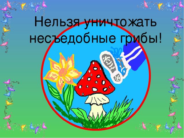 Презентация на тему "Береги свою планету"