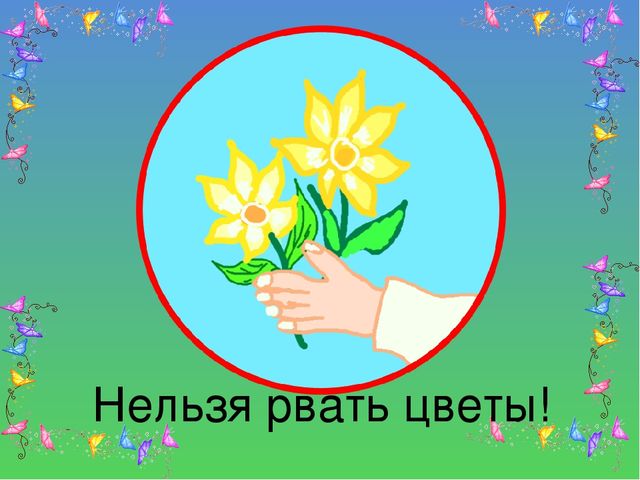 Презентация на тему "Береги свою планету"