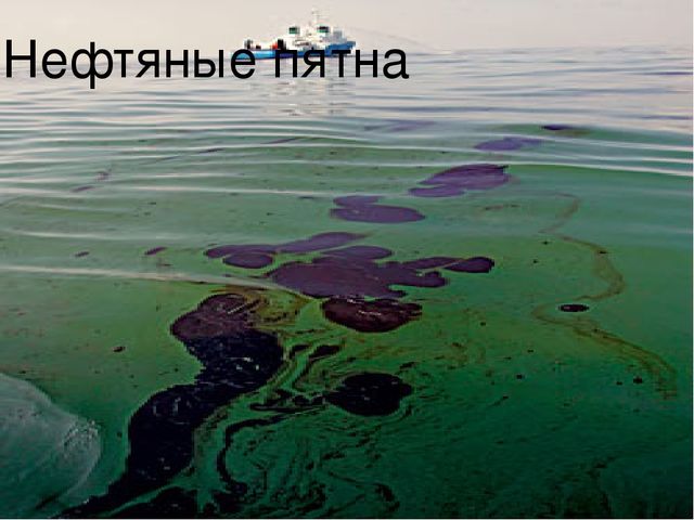 Презентация на тему "Береги свою планету"