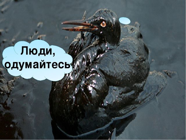Презентация на тему "Береги свою планету"