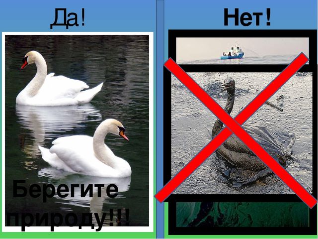 Презентация на тему "Береги свою планету"