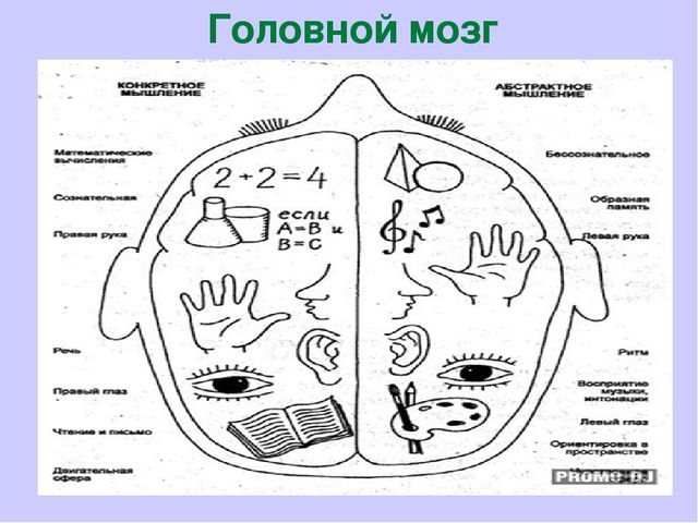 Презентация "Как развивать межполушарное взаимодействие"