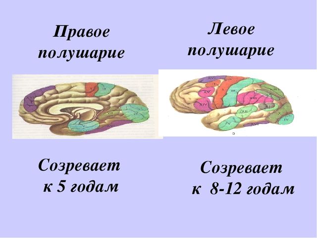Презентация "Как развивать межполушарное взаимодействие"