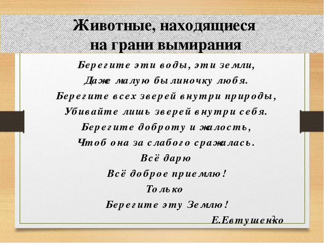 Презентация по окружающему миру: "Животные на грани вымирания"
