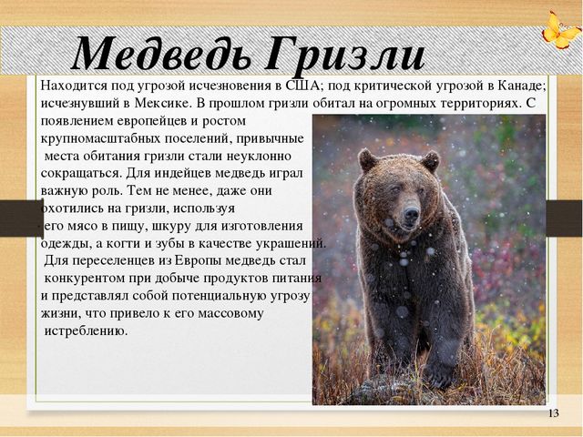 Презентация по окружающему миру: "Животные на грани вымирания"