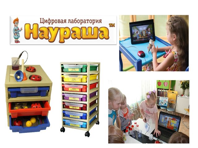 «Использование ИКТ при организации образовательного процесса в ДОУ»