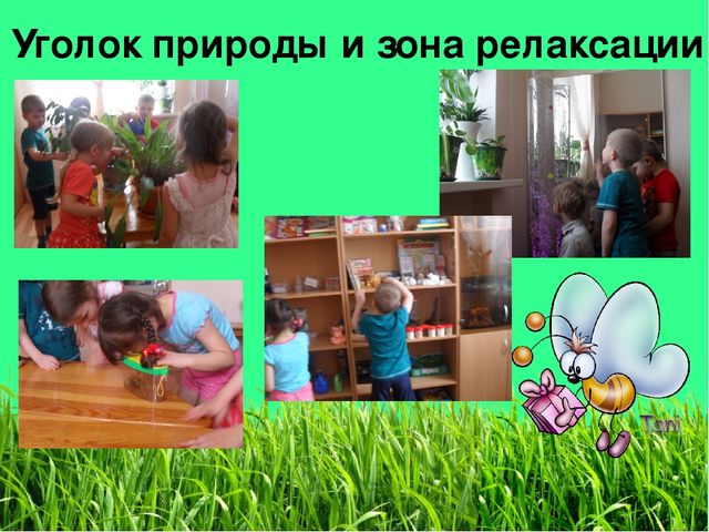 Презентация "Наша группа Осьминожки"
