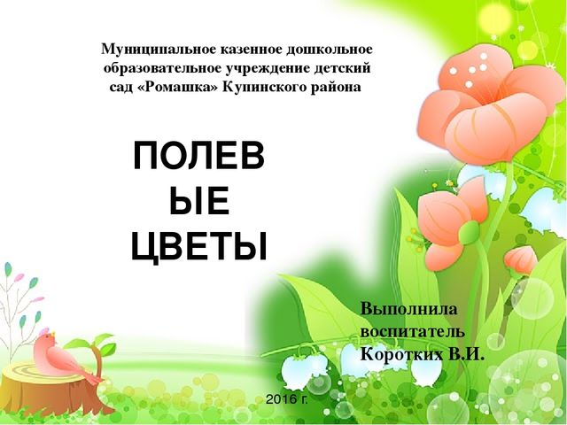 Презентация " Полевые цветы"