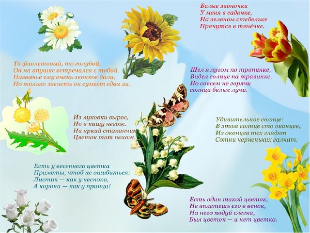 Презентация " Полевые цветы"