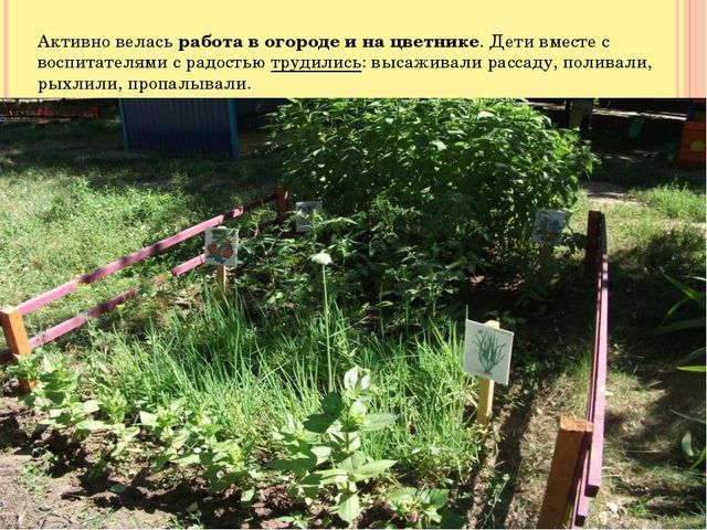 Фотоальбом "Воспоминания о лете"