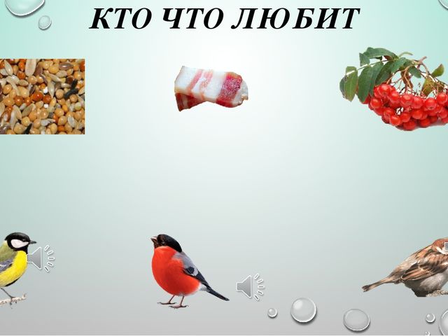 Интерактивная презентация для ООД в средней группе ДОУ по теме "Птицы"