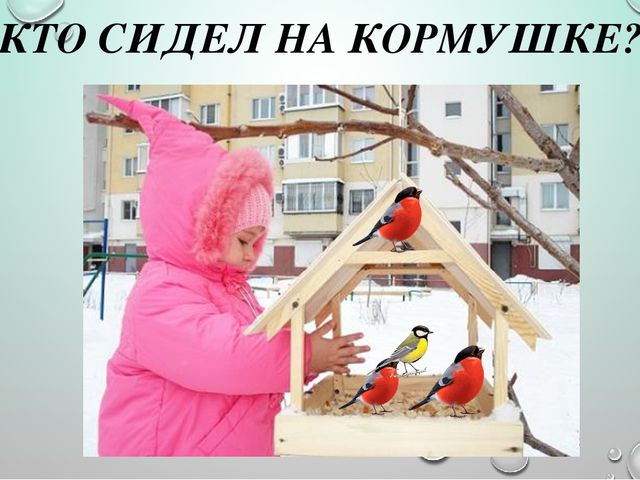 Интерактивная презентация для ООД в средней группе ДОУ по теме "Птицы"