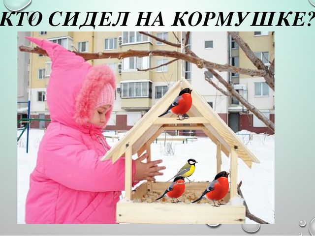 Интерактивная презентация для ООД в средней группе ДОУ по теме "Птицы"