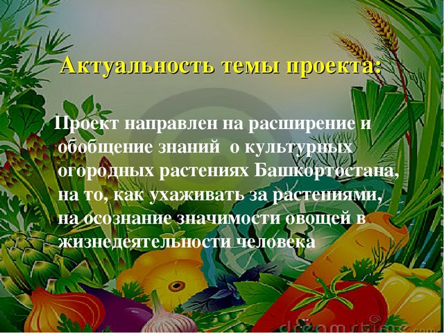 Проект на тему: " Огород на подоконнике"