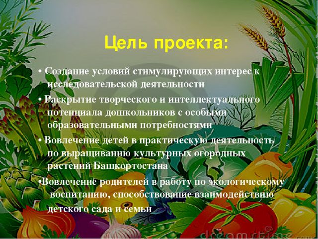 Проект на тему: " Огород на подоконнике"