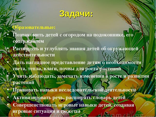 Проект на тему: " Огород на подоконнике"