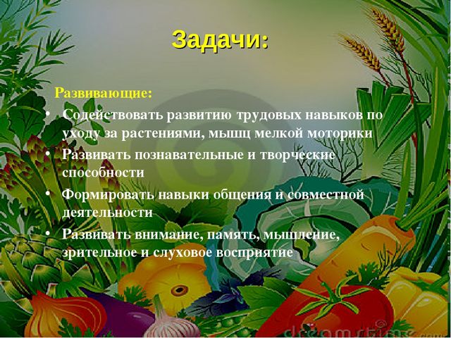 Проект на тему: " Огород на подоконнике"