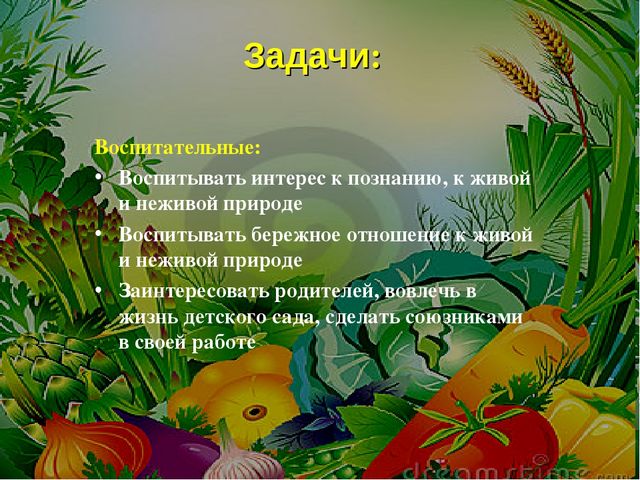 Проект на тему: " Огород на подоконнике"