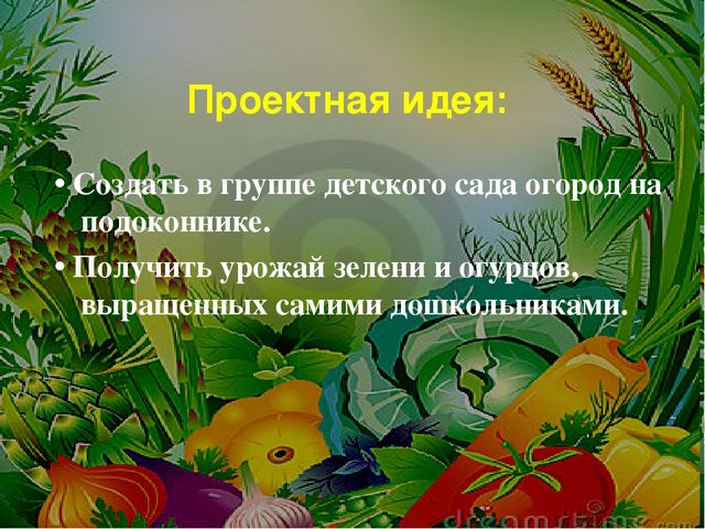 Презентация огорода на подоконнике в детском саду