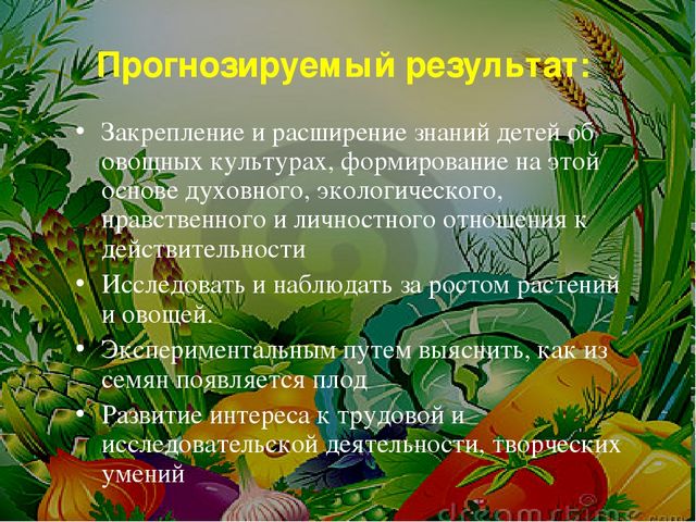 Проект на тему: " Огород на подоконнике"