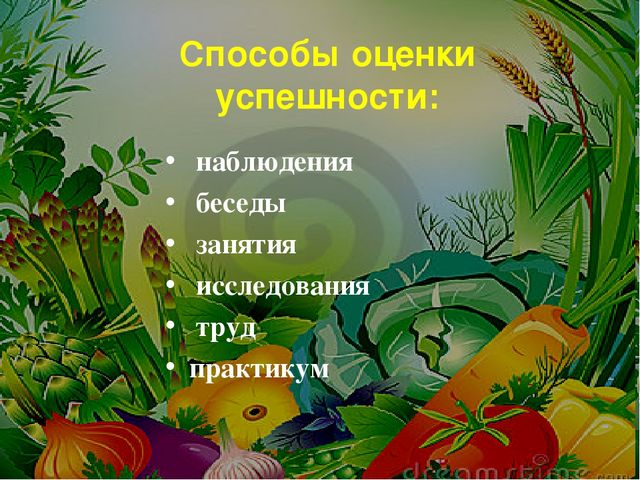 Проект на тему: " Огород на подоконнике"