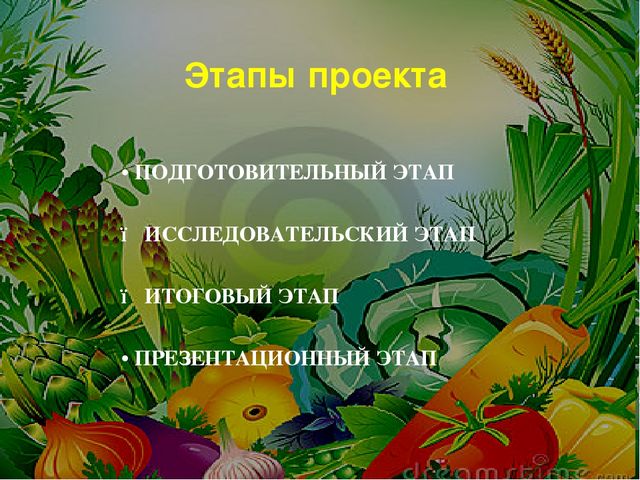 Проект на тему: " Огород на подоконнике"