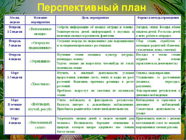 Проект на тему: " Огород на подоконнике"