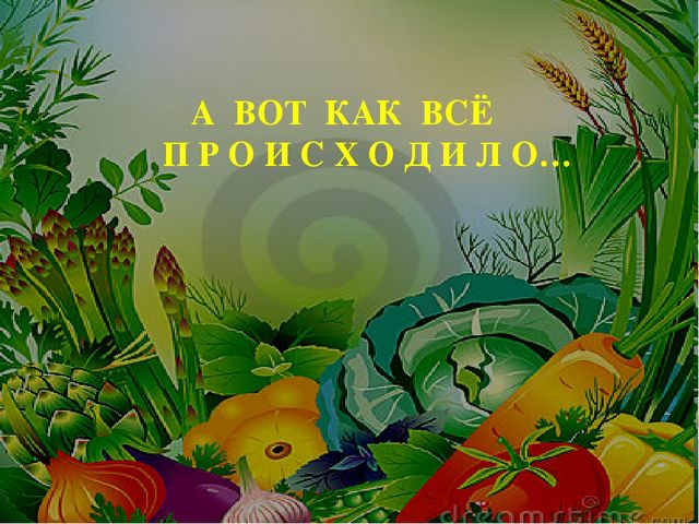 Проект на тему: " Огород на подоконнике"
