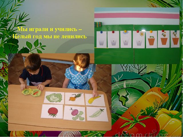 Проект на тему: " Огород на подоконнике"
