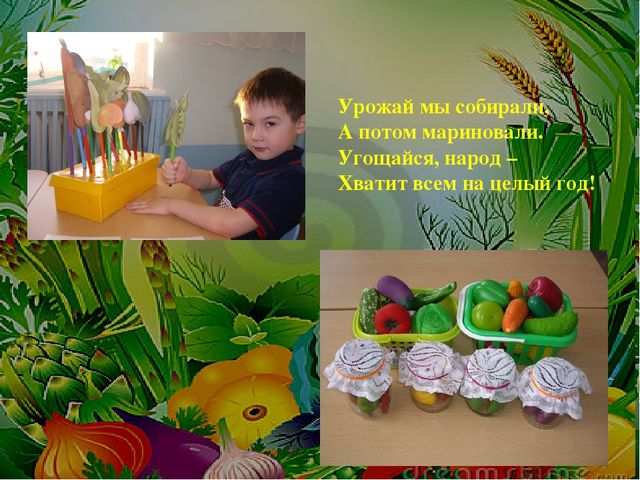 Проект на тему: " Огород на подоконнике"