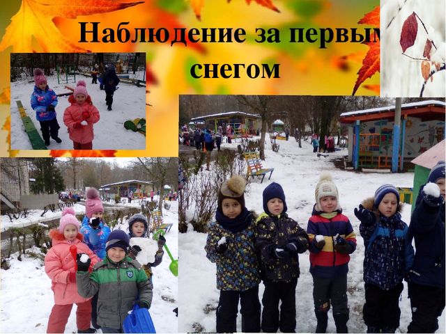 Презентация на тему Проект "Осень бывает разная"