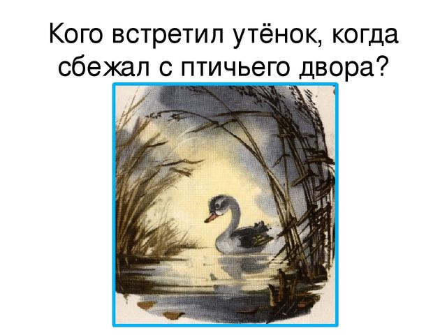 Презентация "Ганс Христиан Андерсен" (подготовительная группа)