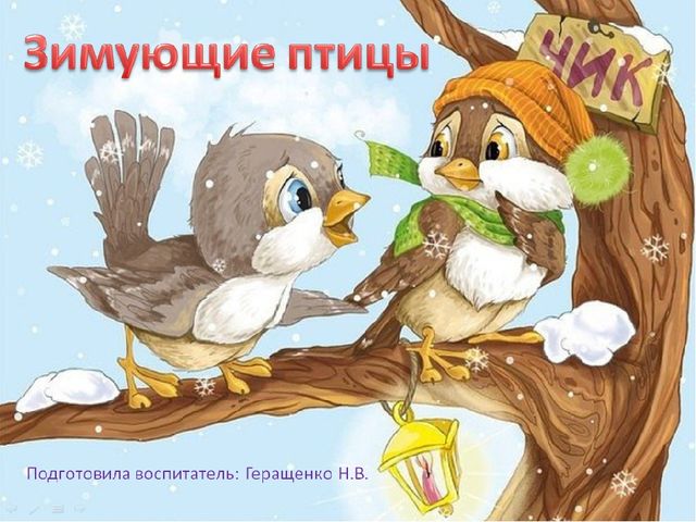 Презентация по познавательному развитию на тему "Зимующие птицы"