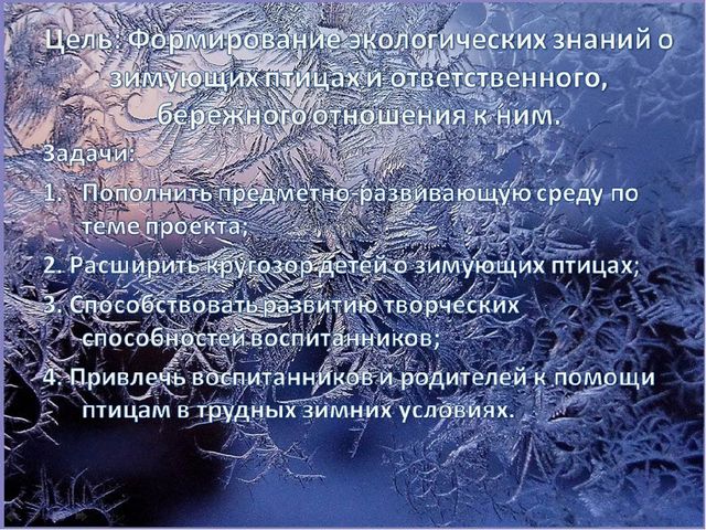 Презентация по познавательному развитию на тему "Зимующие птицы"
